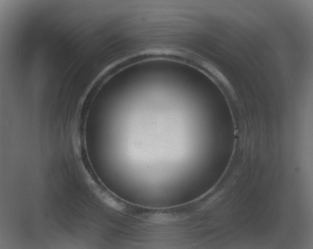 X0000083010984200702091246