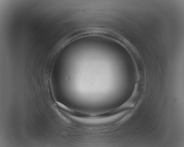 X0000083010985200702091246