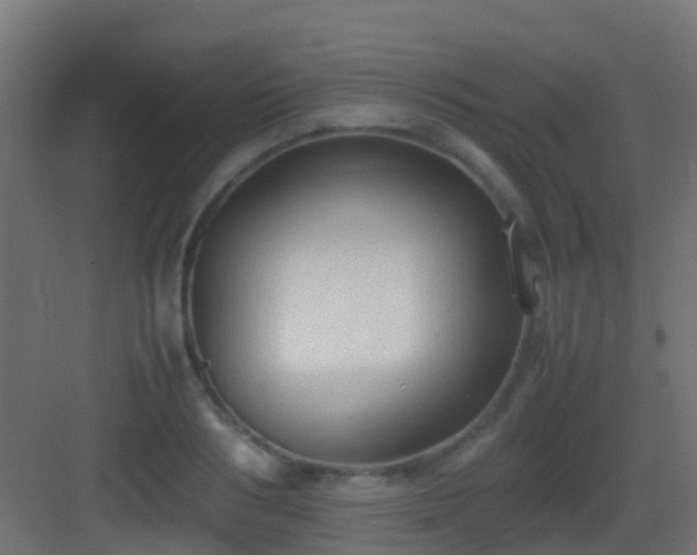 X0000083010986200702091246