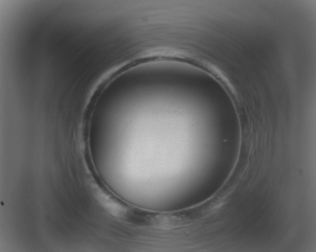 X0000083010987200702091246