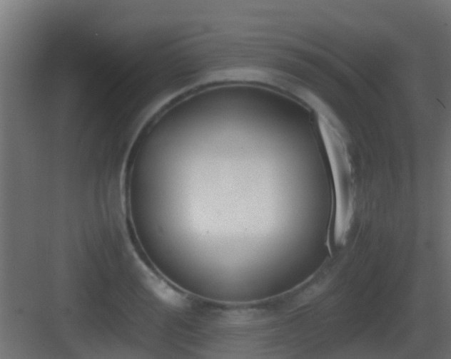 X0000083010988200702091246