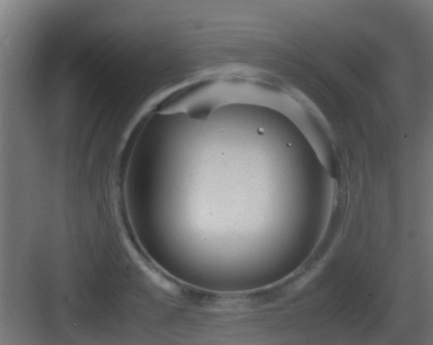 X0000083010989200702091246