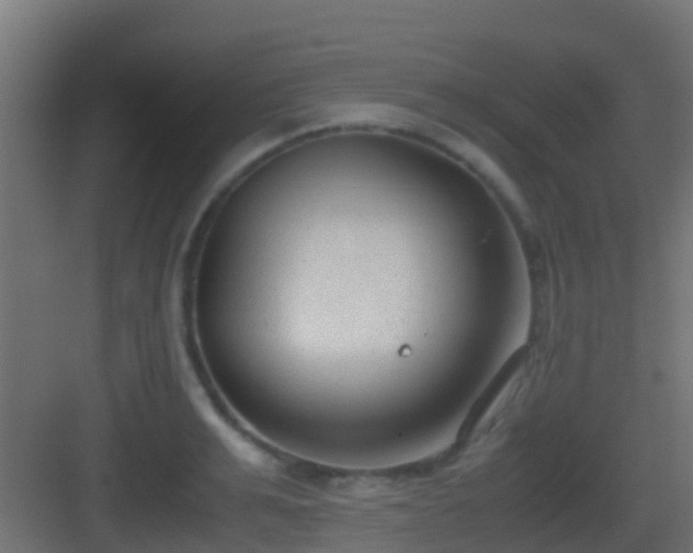 X0000083010991200702091246