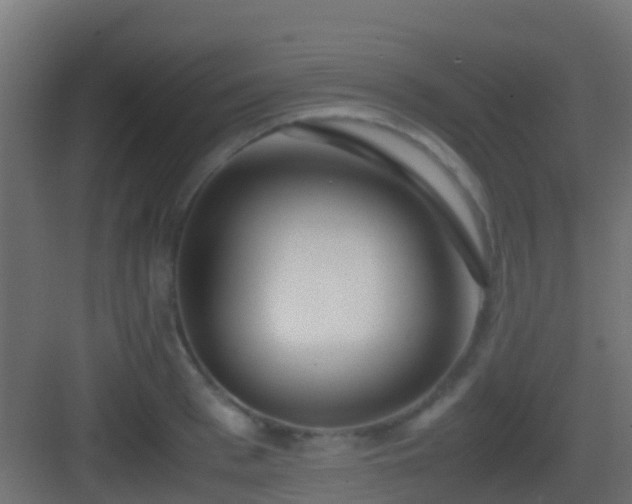 X0000083010993200702091246