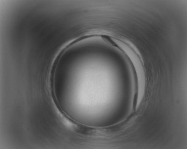 X0000083010995200702091246