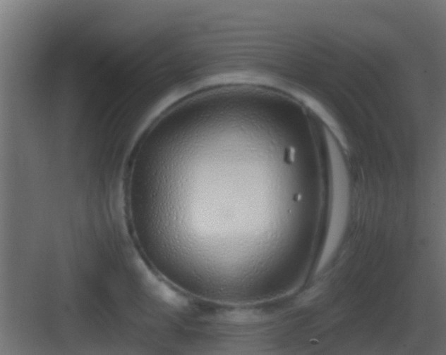 X0000083010998200702091246