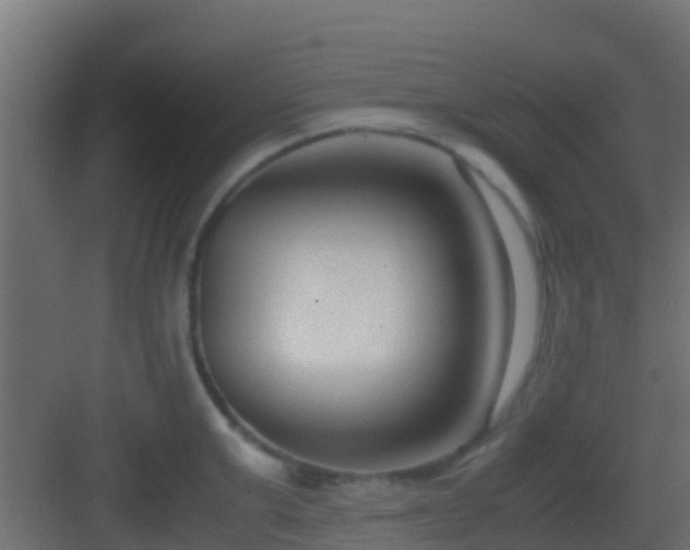 X0000083010999200702091246