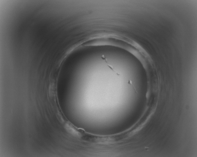 X0000083011001200702091246