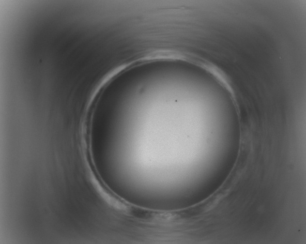 X0000083011003200702091246