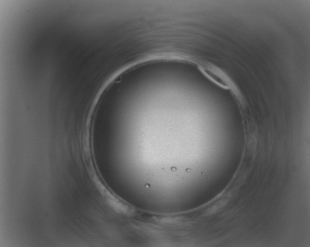 X0000083011004200702091246