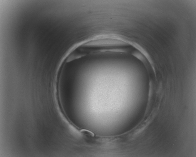 X0000083011005200702091246