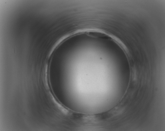 X0000083011006200702091246