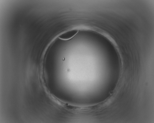 X0000083011008200702091246