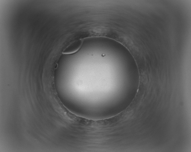 X0000083011009200702091245