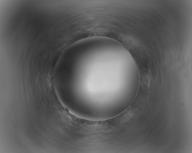 X0000083011010200702091245