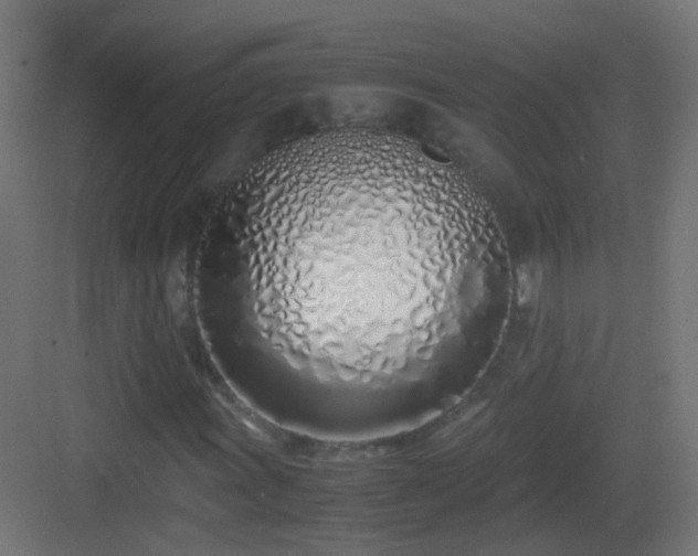 X0000083011011200702091245