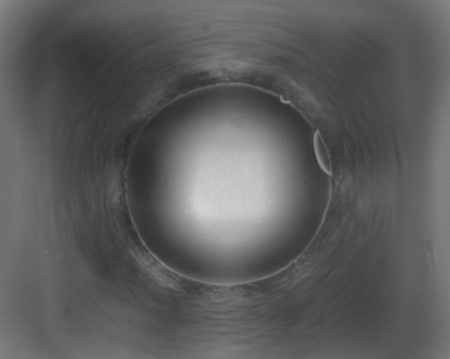 X0000083011012200702091245