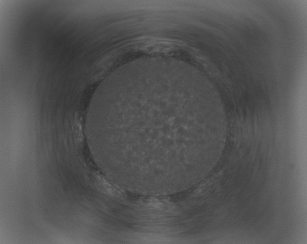 X0000083011013200702091245