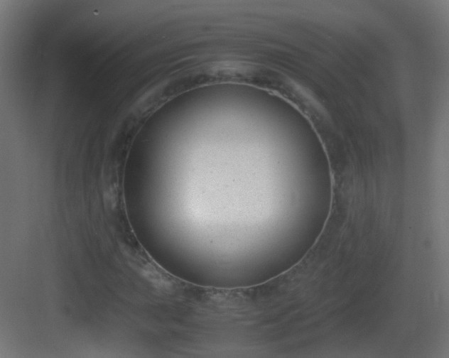 X0000083011015200702091245