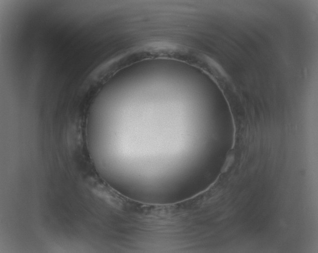 X0000083011016200702091245