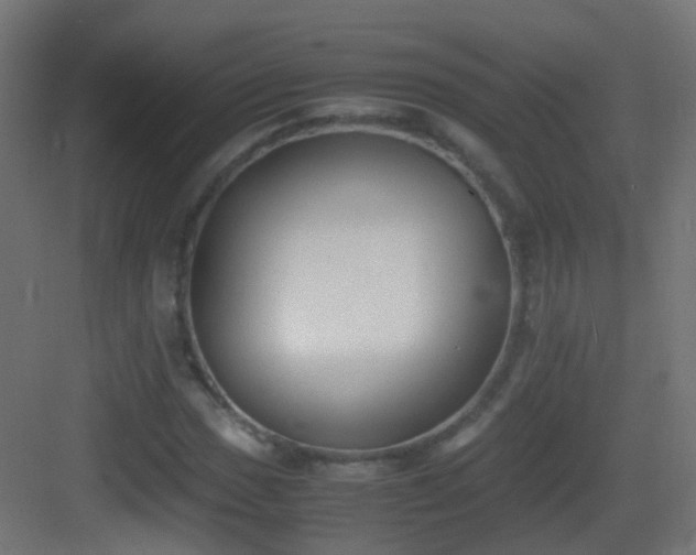 X0000083011017200702091245