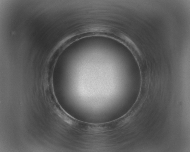 X0000083011019200702091245