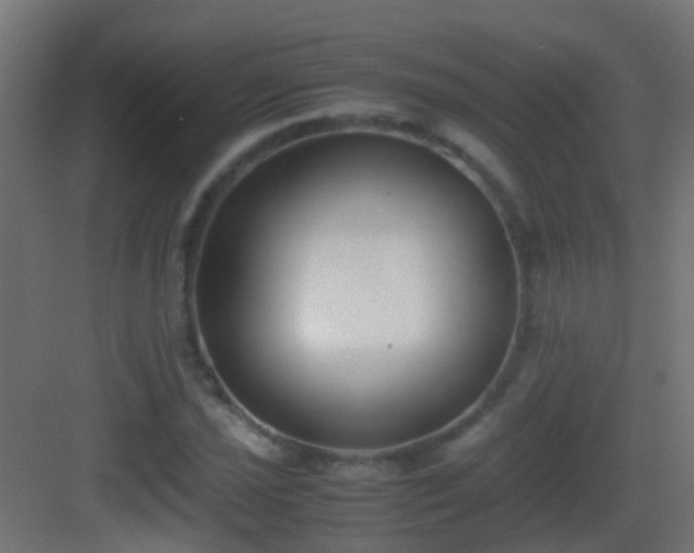 X0000083011021200702091245