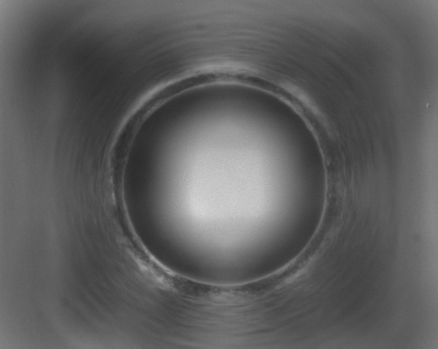 X0000083011022200702091245