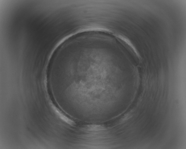 X0000083011024200702091245