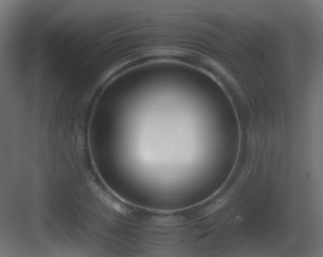 X0000083011025200702091245