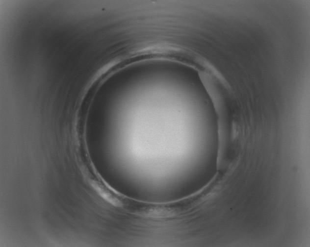 X0000083011026200702091245