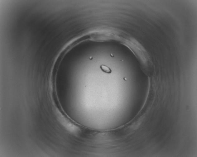 X0000083011028200702091245