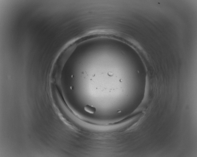 X0000083011030200702091245