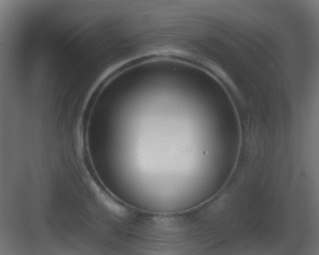 X0000083011032200702091245