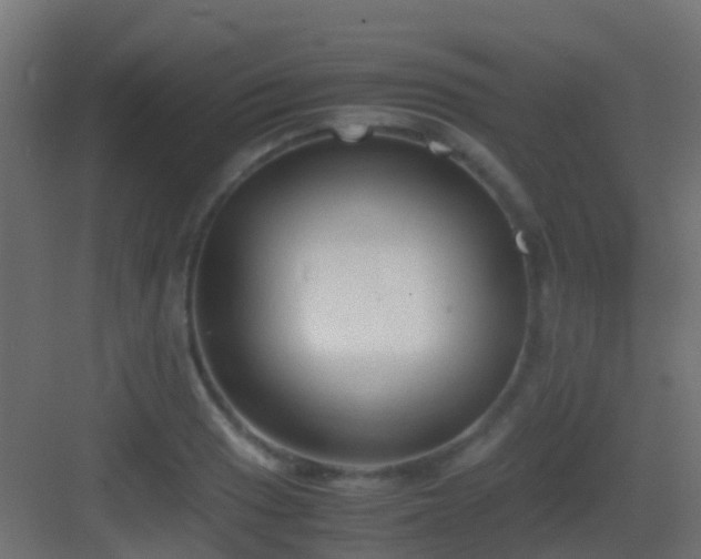 X0000083011033200702091245