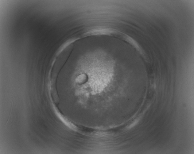 X0000083011034200702091245