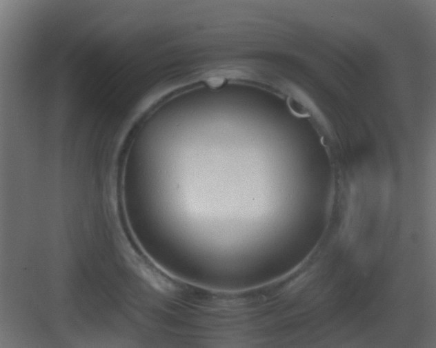 X0000083011035200702091245