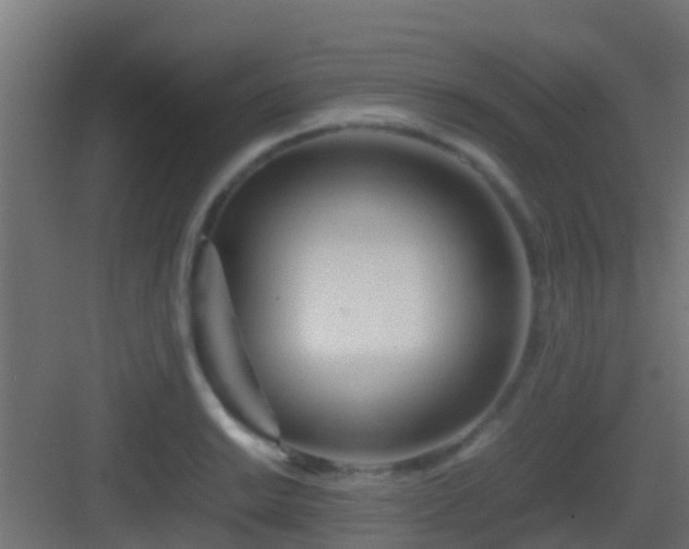 X0000083011038200702091245