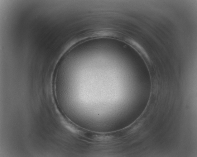 X0000083011039200702091245