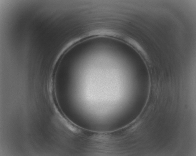 X0000083011040200702091245