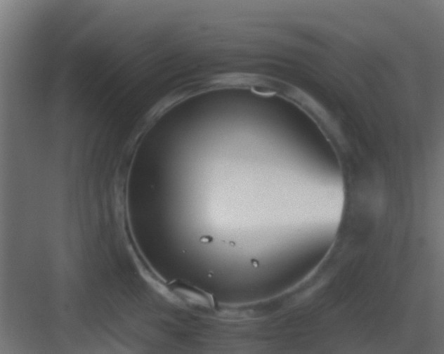 X0000083011049200702091245