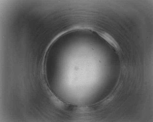 X0000083011052200702091245