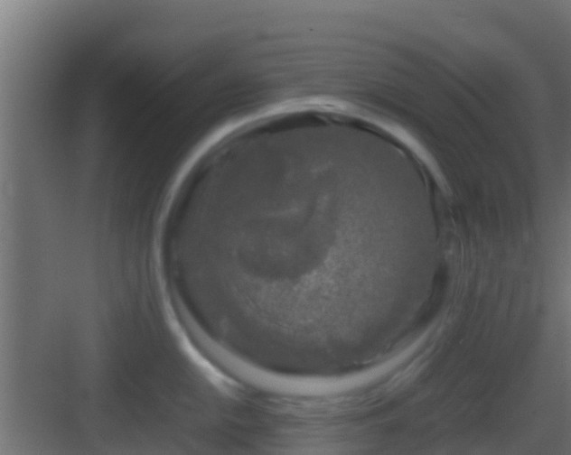 X0000083011054200702091246