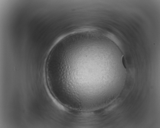 X0000083011055200702091246