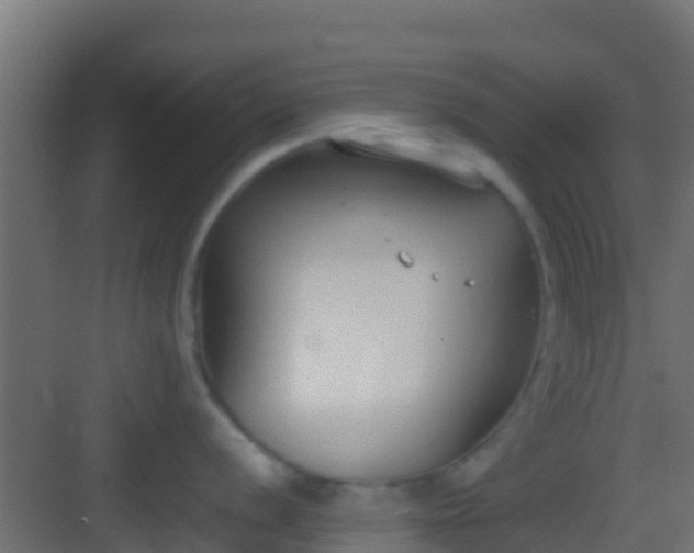 X0000083011056200702091246