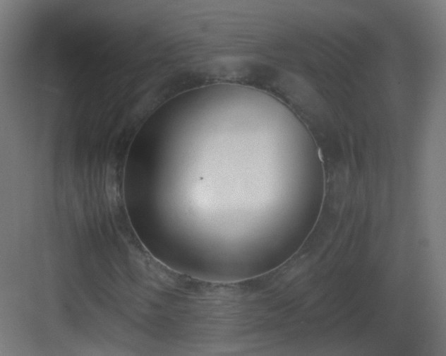 X0000083011058200702091245