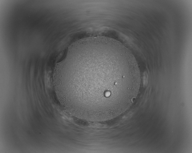 X0000083011059200702091245