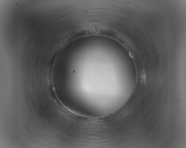 X0000083011060200702091245