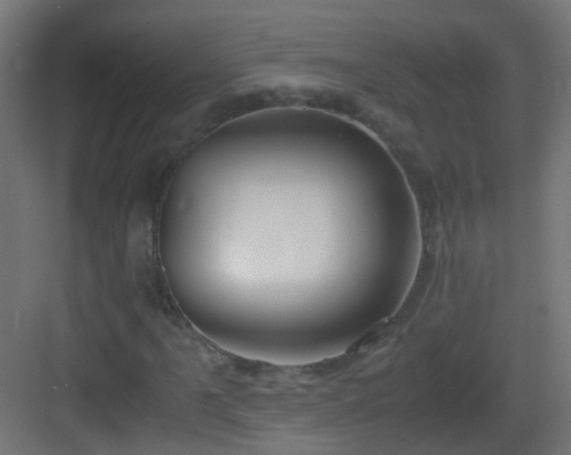 X0000083011061200702091245