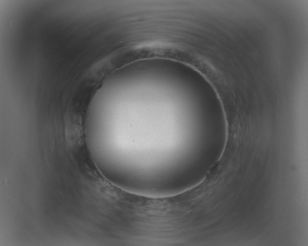 X0000083011062200702091245